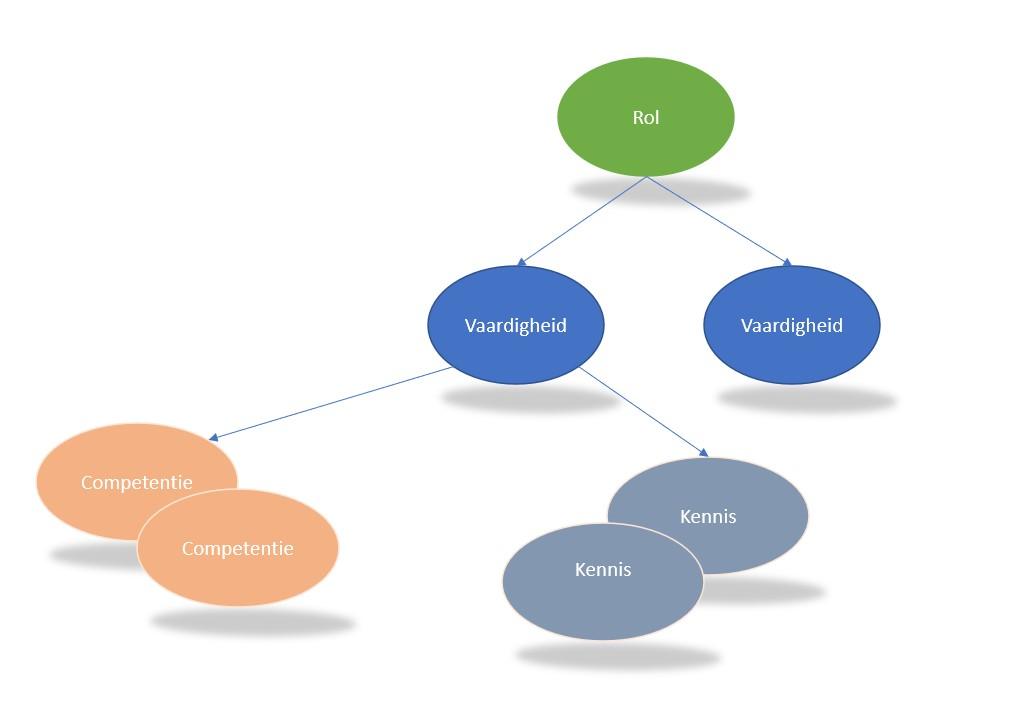 vaardigheid